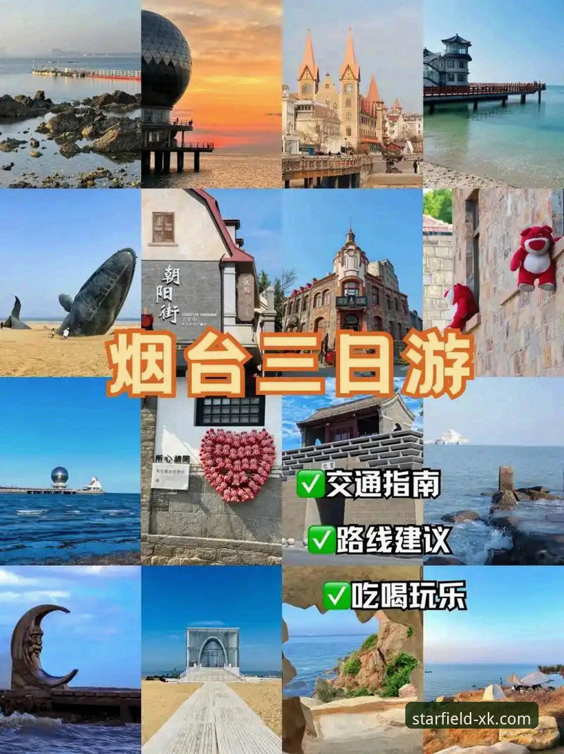 星空体育平台下载与安装完整指南：从获取到畅玩的实战步骤