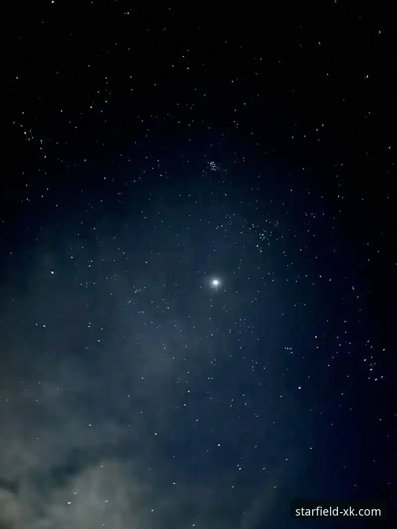 为什么星空平台手机版能成为移动娱乐的首选入口？
